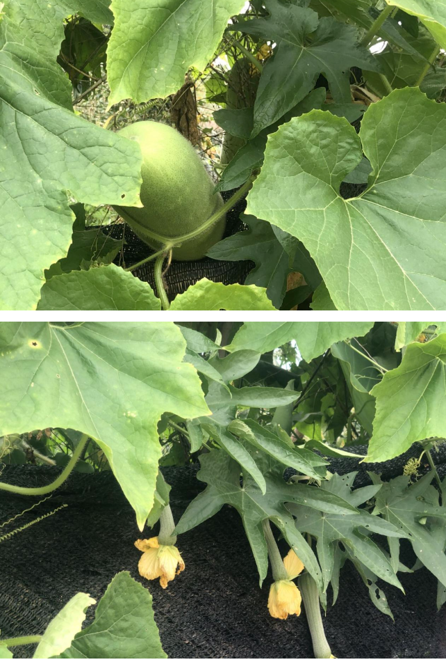 1690188144113068507.png 微信截图_20230724165125.png